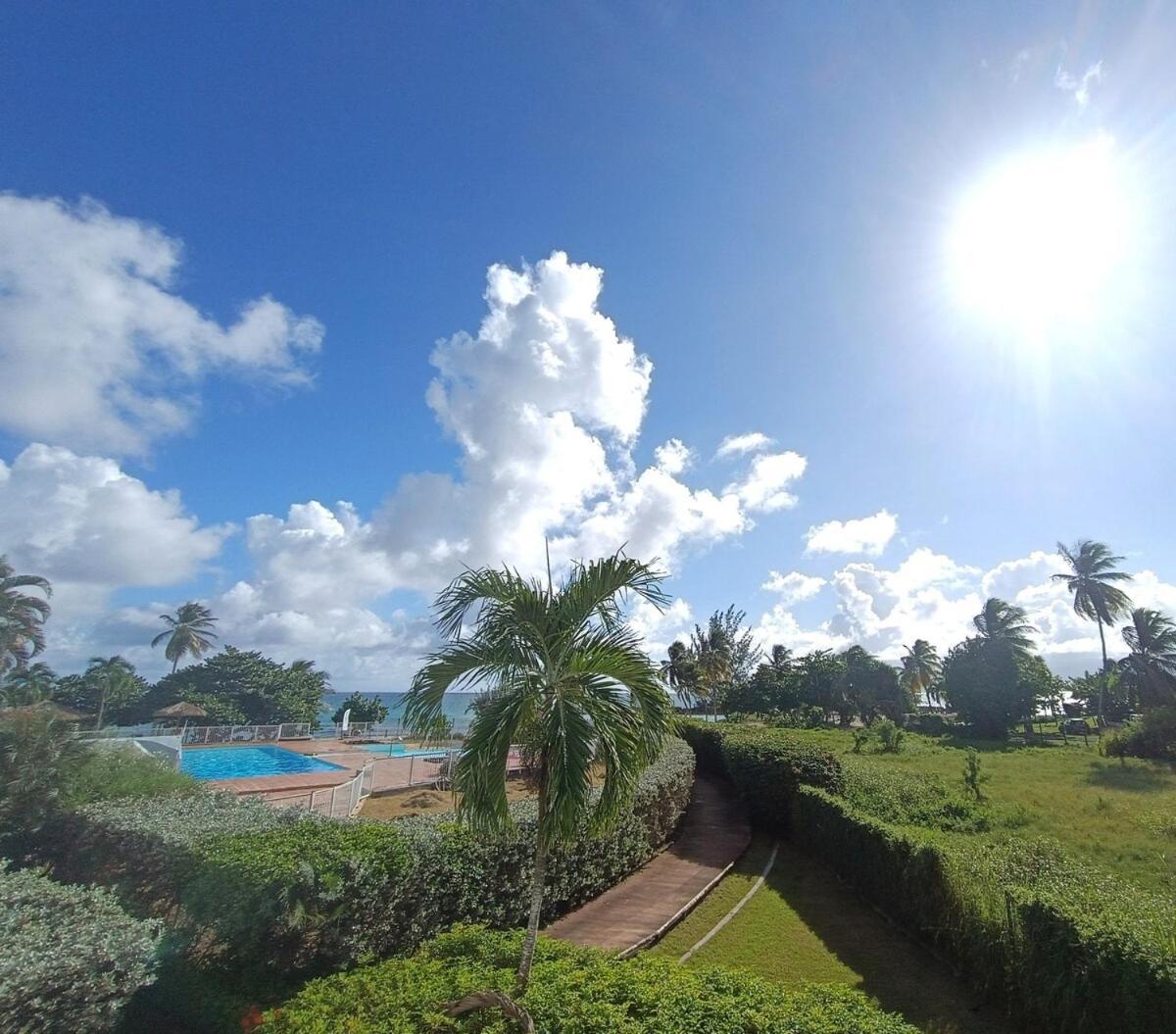 Studio Bord De Mer Gosier, Guadeloupe ル・ゴジエ エクステリア 写真